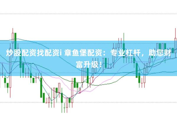 炒股配资找配资i 章鱼堡配资：专业杠杆，助您财富升级！