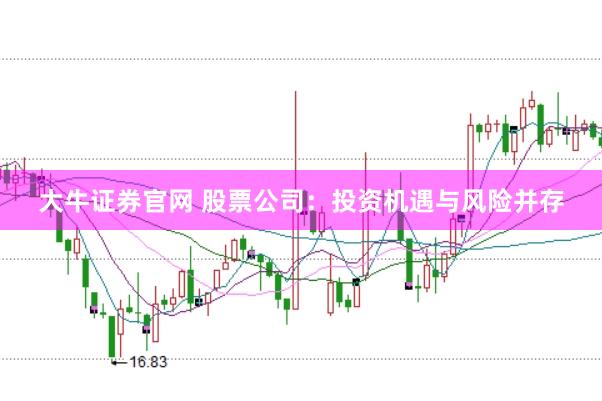 大牛证券官网 股票公司：投资机遇与风险并存
