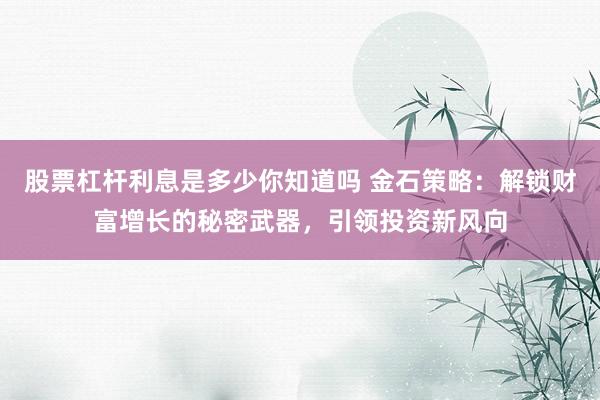 股票杠杆利息是多少你知道吗 金石策略：解锁财富增长的秘密武器，引领投资新风向