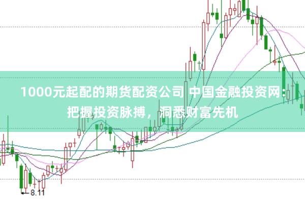 1000元起配的期货配资公司 中国金融投资网：把握投资脉搏，洞悉财富先机