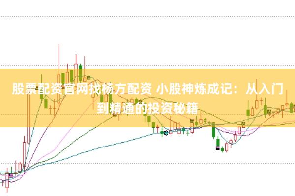 股票配资官网找杨方配资 小股神炼成记：从入门到精通的投资秘籍