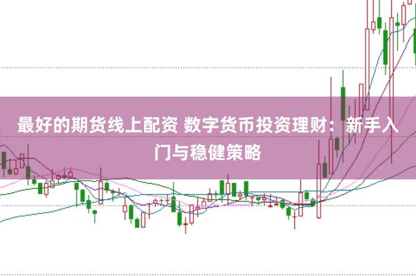 最好的期货线上配资 数字货币投资理财：新手入门与稳健策略