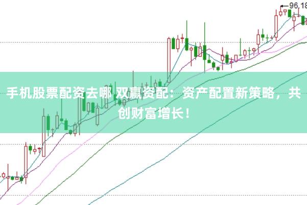 手机股票配资去哪 双赢资配：资产配置新策略，共创财富增长！