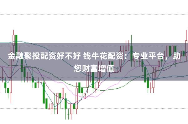 金融聚投配资好不好 钱牛花配资：专业平台，助您财富增值