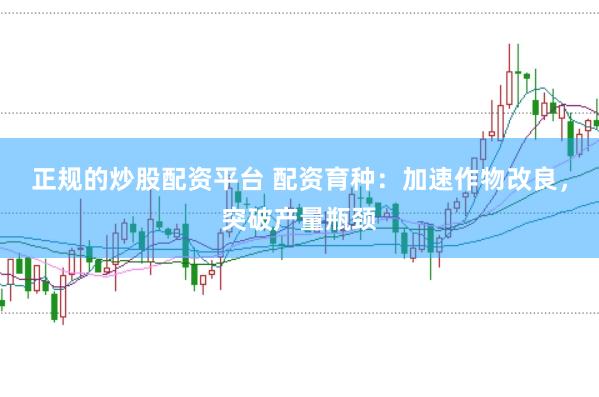 正规的炒股配资平台 配资育种：加速作物改良，突破产量瓶颈