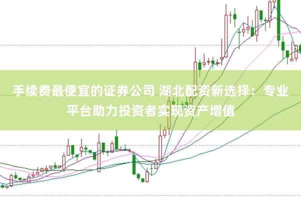 手续费最便宜的证券公司 湖北配资新选择：专业平台助力投资者实现资产增值
