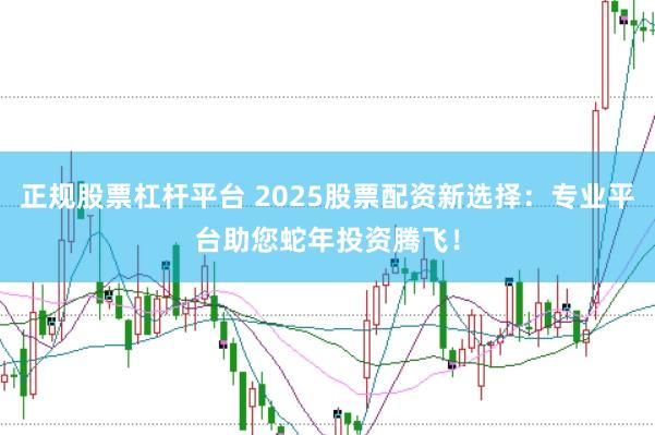 正规股票杠杆平台 2025股票配资新选择：专业平台助您蛇年投资腾飞！