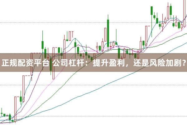 正规配资平台 公司杠杆：提升盈利，还是风险加剧？