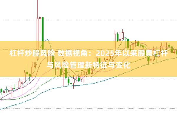 杠杆炒股风险 数据视角：2025年以来股票杠杆与风险管理新特征与变化