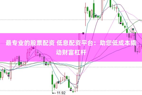 最专业的股票配资 低息配资平台:助您低成本撬动财富杠杆