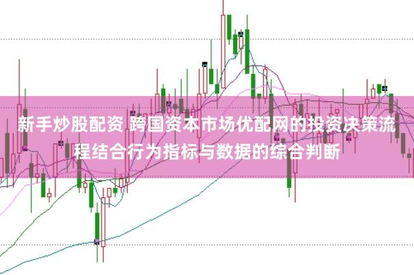 新手炒股配资 跨国资本市场优配网的投资决策流程结合行为指标与数据的综合判断
