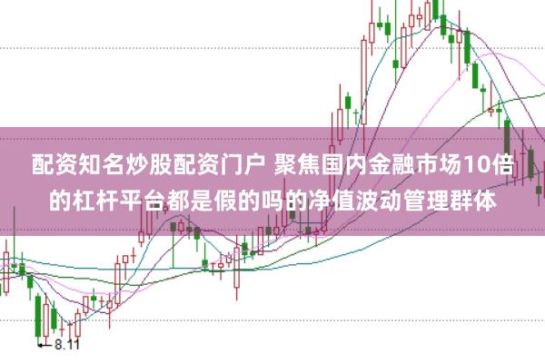 配资知名炒股配资门户 聚焦国内金融市场10倍的杠杆平台都是假的吗的净值波动管理群体