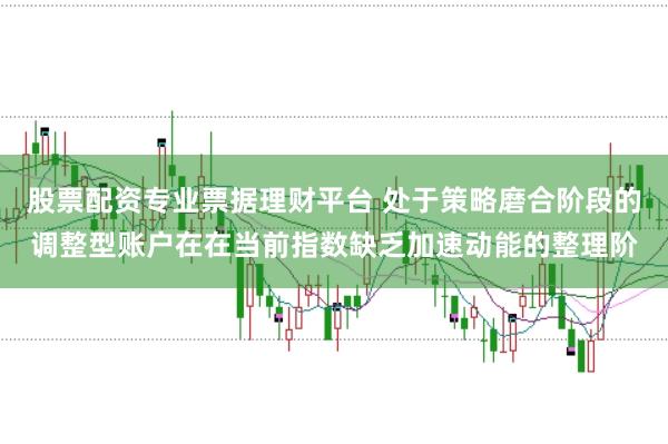 股票配资专业票据理财平台 处于策略磨合阶段的调整型账户在在当前指数缺乏加速动能的整理阶