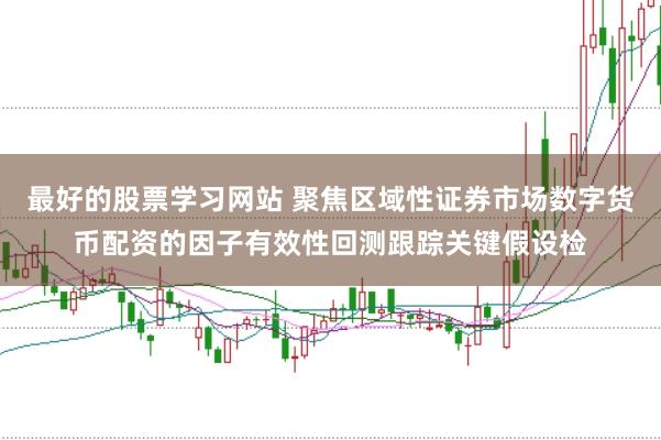 最好的股票学习网站 聚焦区域性证券市场数字货币配资的因子有效性回测跟踪关键假设检