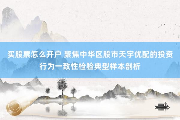 买股票怎么开户 聚焦中华区股市天宇优配的投资行为一致性检验典型样本剖析