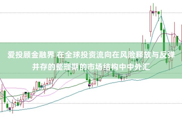 爱投顾金融界 在全球投资流向在风险释放与反弹并存的整理期的市场结构中中外汇