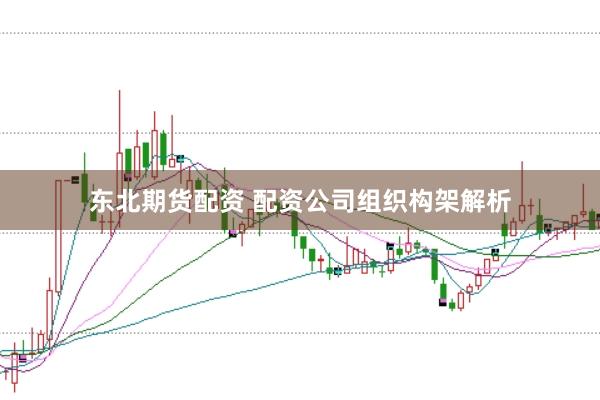 东北期货配资 配资公司组织构架解析