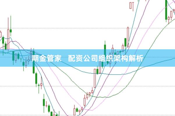 期金管家   配资公司组织架构解析