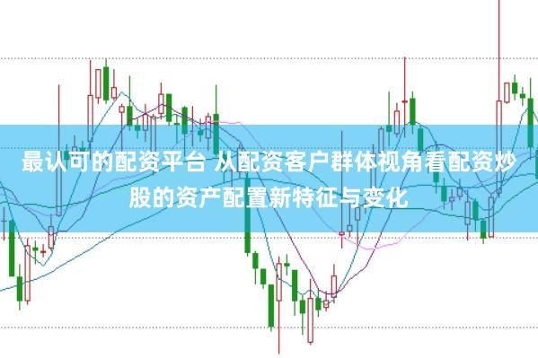 最认可的配资平台 从配资客户群体视角看配资炒股的资产配置新特征与变化