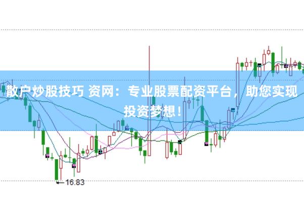 散户炒股技巧 资网：专业股票配资平台，助您实现投资梦想！