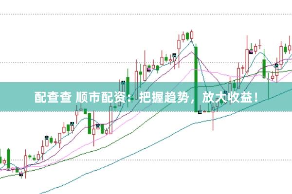 配查查 顺市配资：把握趋势，放大收益！