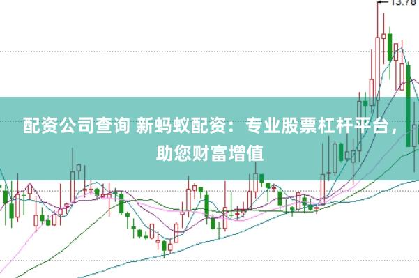 配资公司查询 新蚂蚁配资：专业股票杠杆平台，助您财富增值