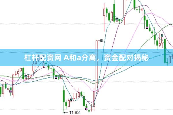 杠杆配资网 A和a分离，资金配对揭秘