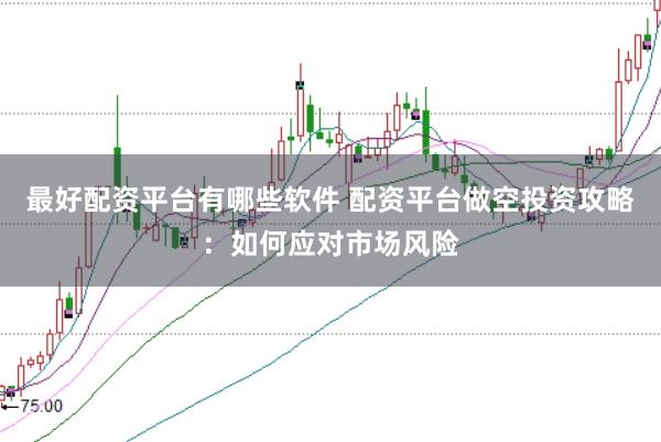最好配资平台有哪些软件 配资平台做空投资攻略：如何应对市场风险