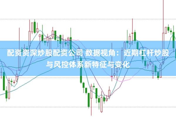 配资资深炒股配资公司 数据视角：近期杠杆炒股与风控体系新特征与变化