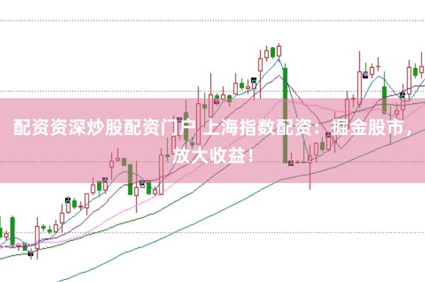 配资资深炒股配资门户 上海指数配资：掘金股市，放大收益！